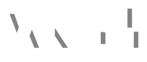 VANISH logo. The word 